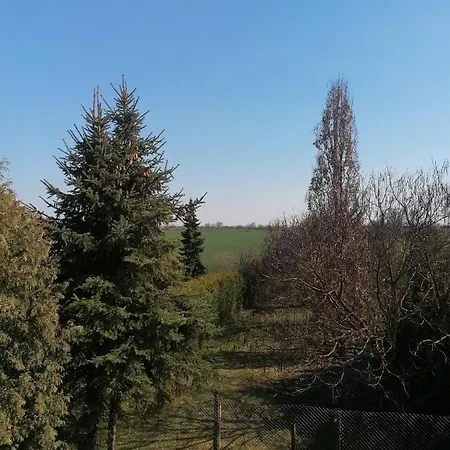 Apartament Iii Sarrebriese *