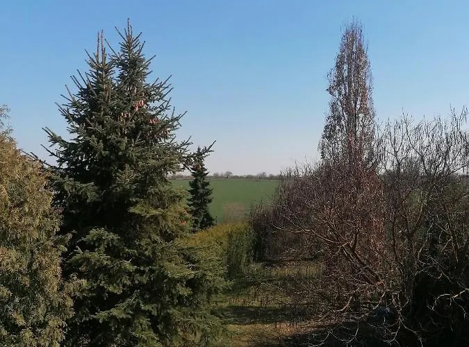 Lejlighed Iii Sarrebriese *